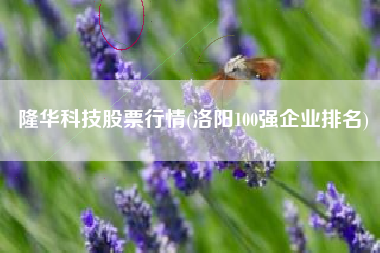 隆华科技股票行情(洛阳100强企业排名)