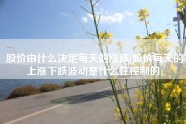 股价由什么决定每天的涨跌(股价每天的上涨下跌波动是什么在控制的)
