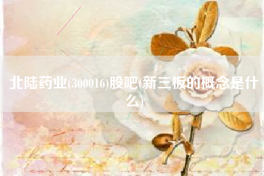北陆药业(300016)股吧(新三板的概念是什么)