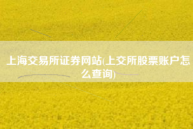 上海交易所证券网站(上交所股票账户怎么查询)