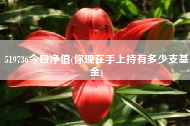 519736今日净值(你现在手上持有多少支基金)