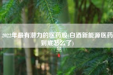 2022年最有潜力的医药股(白酒新能源医药到底怎么了)