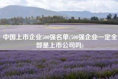 中国上市企业500强名单(500强企业一定全部是上市公司吗)
