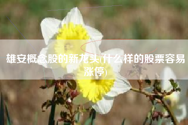 雄安概念股的新龙头(什么样的股票容易涨停)