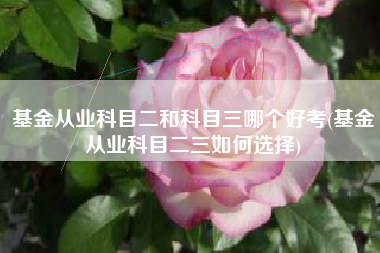 基金从业科目二和科目三哪个好考(基金从业科目二三如何选择)