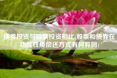 债券投资与股票投资相比(股票和债券在功能性质偿还方式有何异同)