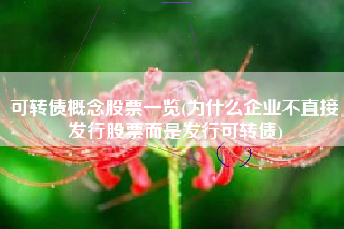 可转债概念股票一览(为什么企业不直接发行股票而是发行可转债)