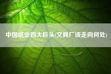 中国纸业四大巨头(文具厂该走向何处)