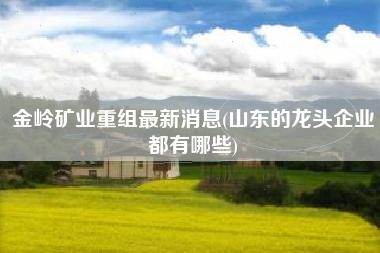 金岭矿业重组最新消息(山东的龙头企业都有哪些)