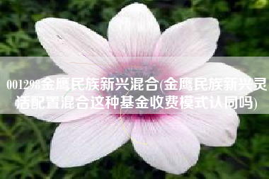 001298金鹰民族新兴混合(金鹰民族新兴灵活配置混合这种基金收费模式认同吗)