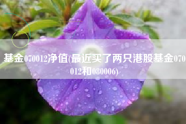 基金070012净值(最近买了两只港股基金070012和080006)