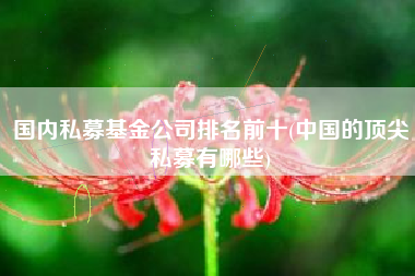 详细阅读:国内私募基金公司排名前十(中国的顶尖私募有哪些) 国内私募基金公司排名前十(中国的顶尖私募有哪些)