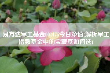 详细阅读:易方达军工基金001475今日净值(解析军工指数基金中的宝藏基如何选) 易方达军工基金001475今日净值(解析军工指数基金中的宝藏基如何选)