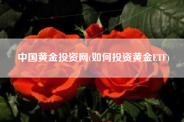 中国黄金投资网(如何投资黄金ETF)