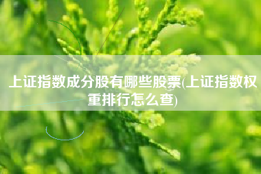 上证指数成分股有哪些股票(上证指数权重排行怎么查)