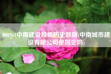 000961中南建设股票历史数据(中南城市建设有限公司是国企吗)