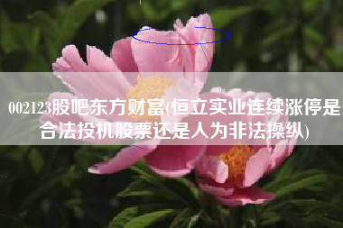 002123股吧东方财富(恒立实业连续涨停是合法投机股票还是人为非法操纵)