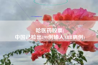 哈医药股票(
中国已检出199例输入XBB病例)
