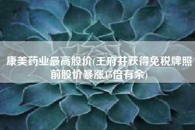 康美药业最高股价(王府井获得免税牌照前股价暴涨15倍有余)