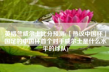 英格兰威尔士比分预测(「热议中国杯」国足的中国杯首个对手威尔士是什么水平的球队)