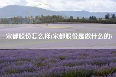 宋都股份怎么样(宋都股份是做什么的)