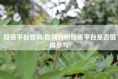 投资平台查询(如何分辨投资平台是否值得参与)
