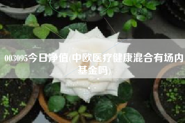 003095今日净值(中欧医疗健康混合有场内基金吗)