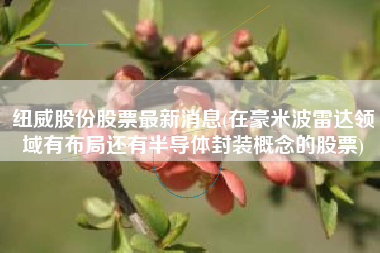 纽威股份股票最新消息(在豪米波雷达领域有布局还有半导体封装概念的股票)