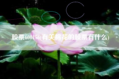 股票600156(有关棉花的股票有什么)