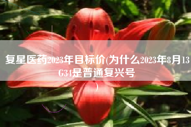 复星医药2023年目标价(为什么2023年8月13G34是普通复兴号
) 复星医药2023年目标价(为什么2023年8月13G34是普通复兴号
)