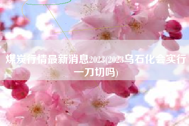 煤炭行情最新消息2023(2023乌石化会实行一刀切吗)