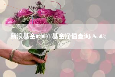 新浪基金090001(基金净值查询o9oo03)