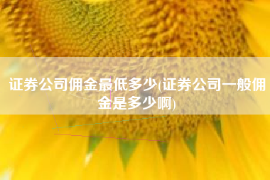 证券公司佣金最低多少(证券公司一般佣金是多少啊)