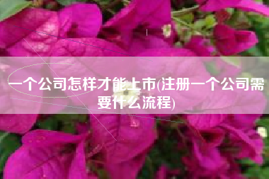 详细阅读:一个公司怎样才能上市(注册一个公司需要什么流程) 一个公司怎样才能上市(注册一个公司需要什么流程)