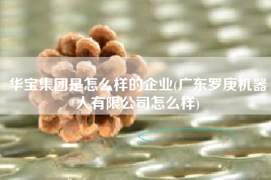 详细阅读:华宝集团是怎么样的企业(广东罗庚机器人有限公司怎么样) 华宝集团是怎么样的企业(广东罗庚机器人有限公司怎么样)