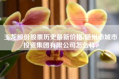 详细阅读:玉龙股份股票历史最新价格(随州市城市投资集团有限公司怎么样) 玉龙股份股票历史最新价格(随州市城市投资集团有限公司怎么样)