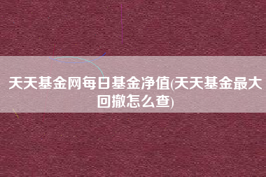 天天基金网每日基金净值(天天基金最大回撤怎么查)