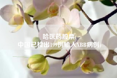 哈医药股票(
中国已检出199例输入XBB病例)