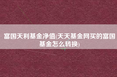 富国天利基金净值(天天基金网买的富国基金怎么转换)