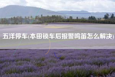 五洋停车(本田锁车后报警鸣笛怎么解决)