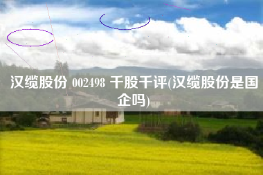 汉缆股份 002498 千股千评(汉缆股份是国企吗)