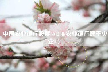中国农业银行股票601288(农业银行属于央企吗)