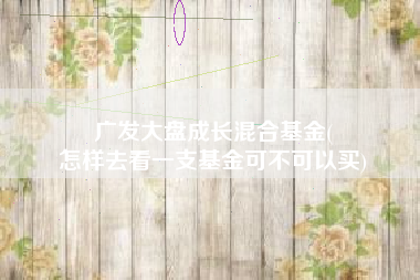 广发大盘成长混合基金(
怎样去看一支基金可不可以买) 广发大盘成长混合基金(
怎样去看一支基金可不可以买)