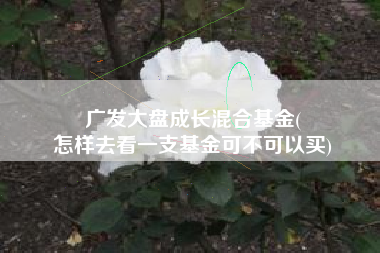 广发大盘成长混合基金(
怎样去看一支基金可不可以买) 广发大盘成长混合基金(
怎样去看一支基金可不可以买)