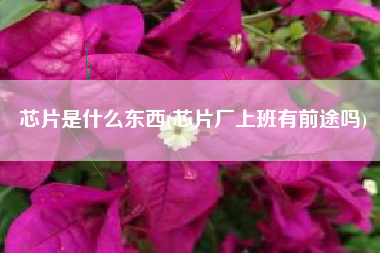 芯片是什么东西(芯片厂上班有前途吗)