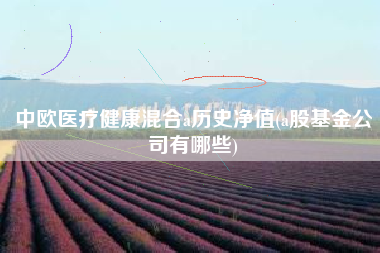 中欧医疗健康混合a历史净值(a股基金公司有哪些)