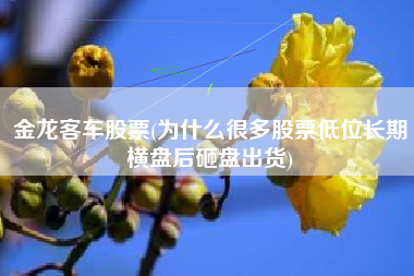 金龙客车股票(为什么很多股票低位长期横盘后砸盘出货)