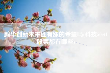鹏华创新未来还有涨的希望吗(科技50etf股票都有哪些)