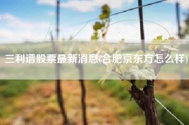 三利谱股票最新消息(合肥京东方怎么样)