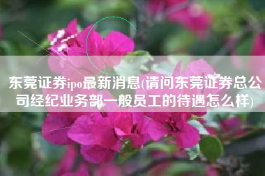 详细阅读:东莞证券ipo最新消息(请问东莞证券总公司经纪业务部一般员工的待遇怎么样) 东莞证券ipo最新消息(请问东莞证券总公司经纪业务部一般员工的待遇怎么样)